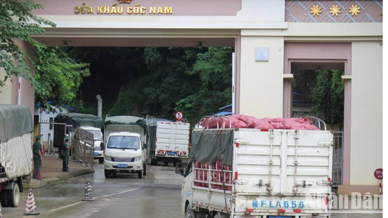 Xe chở hàng hóa xuất, nhập khẩu qua cửa khẩu Cốc Nam, Văn lãng, (Lạng Sơn).