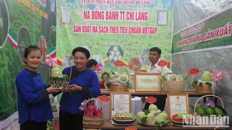 Sản phẩm quả na Chi Lăng (huyện Chi Lăng) được trưng bày tại Chương trình quảng bá, tiêu thụ na. 