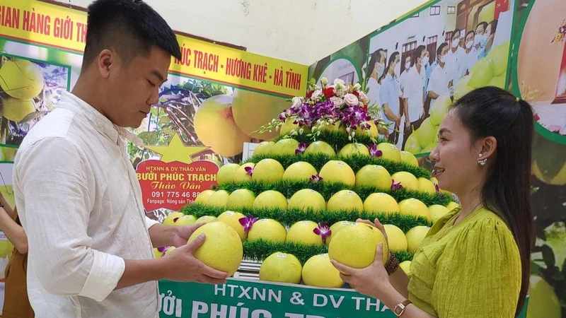 Bưởi Phúc Trạch được coi là đệ nhất danh quả được người tiêu dùng ưa chuộng bởi chất lượng sản phẩm và giá trị dinh dưỡng.