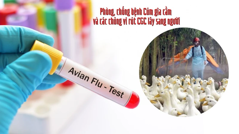 (Ảnh minh họa)