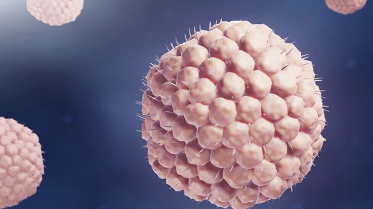 Bệnh thủy đậu do virus varicella-zoster lây truyền.