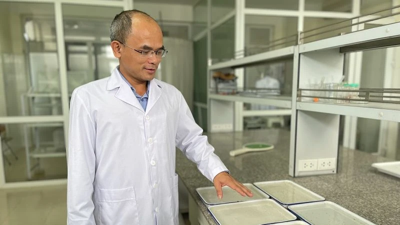 Tiến sĩ, bác sĩ Nguyễn Văn Dũng, Trưởng khoa Côn trùng, Viện Sốt rét-Ký sinh trùng-Côn trùng Trung ương.
