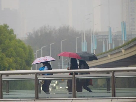 Ảnh minh họa. (Nguồn: Reuters)