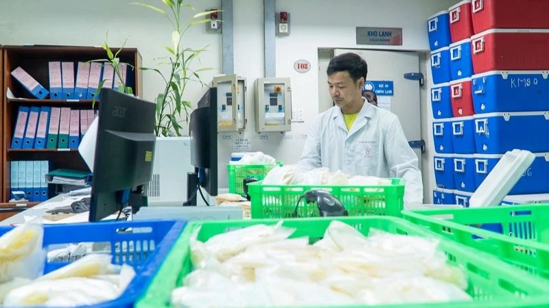 Nhân viên Viện Huyết học-Truyền máu Trung ương chuẩn bị huyết tương để cung cấp cho các cơ sở y tế.