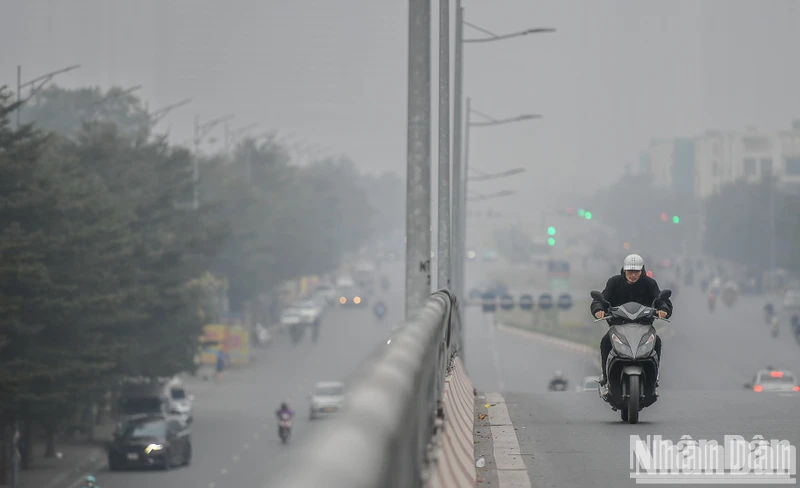 (Ảnh: THÀNH ĐẠT)