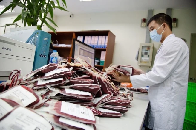 Máu được cung cấp cho Cần Thơ.