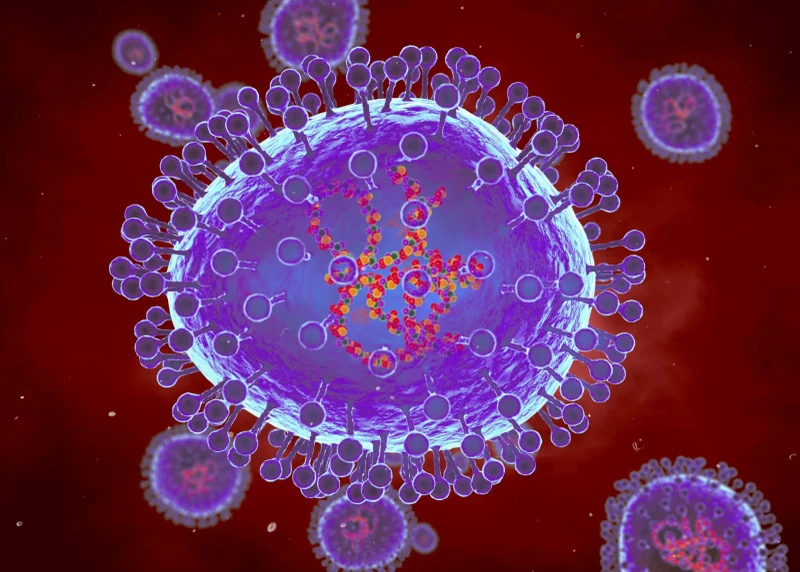 Minh họa máy tính về các hạt của metapneumovirus ở người (HMPV). (Ảnh: clinicaladvisor.com)