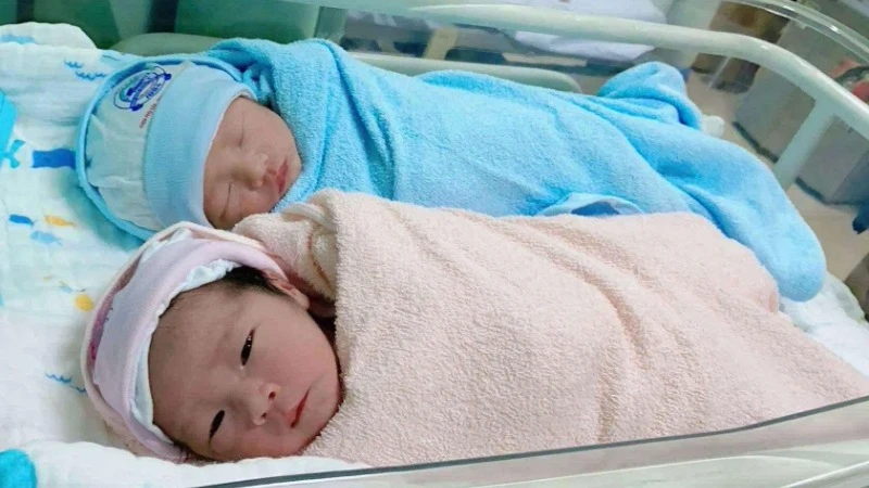 Hai bé chào đời khỏe mạnh. 