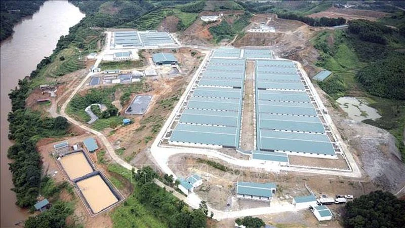 Khu trang trại lợn tại xã Đông An, huyện Văn Yên.