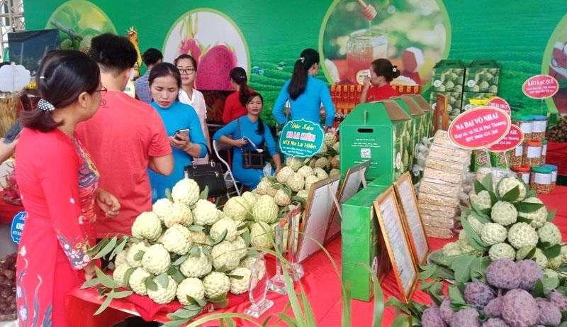 Na Võ Nhai được giới thiệu tại chương trình kết nối tiêu thụ.
