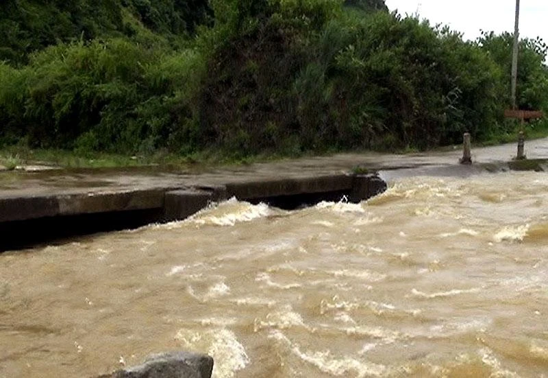 Ảnh minh họa.