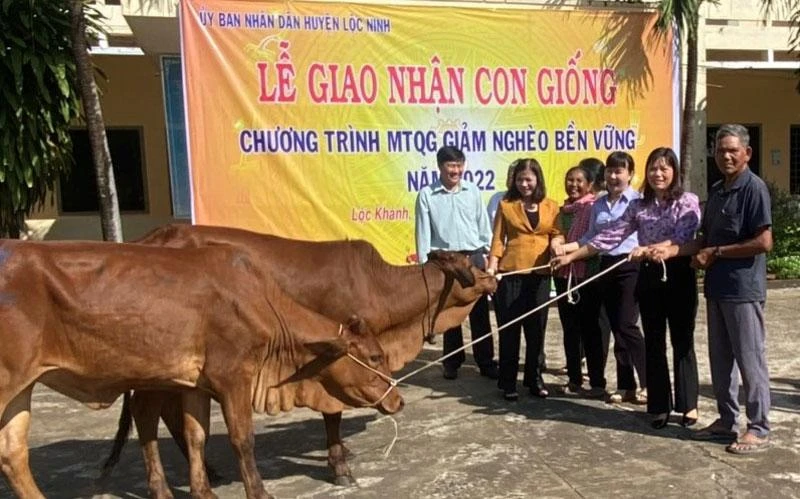 Các hộ dân nhận bò giống.