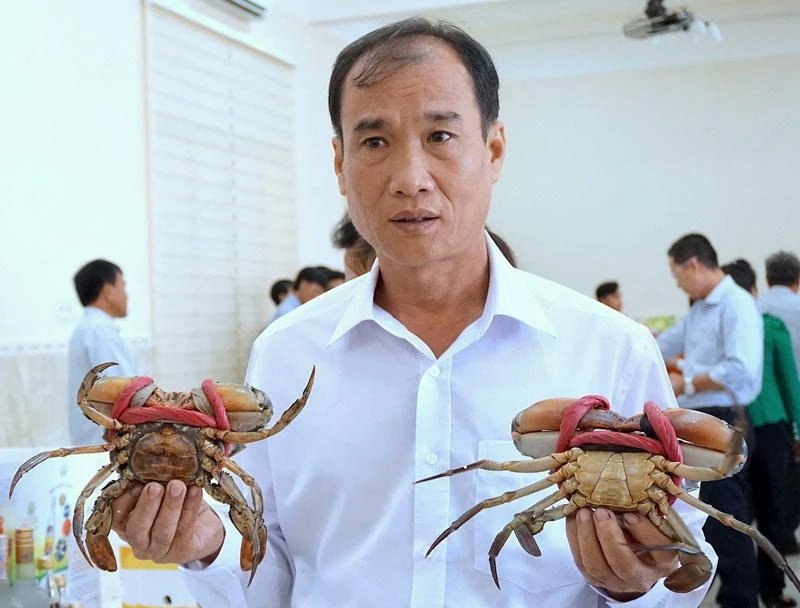 Thương hiệu Cua Cà Mau được bảo hộ và chỉ dẫn địa lý, được nhiều nơi trong cả nước biết đến.