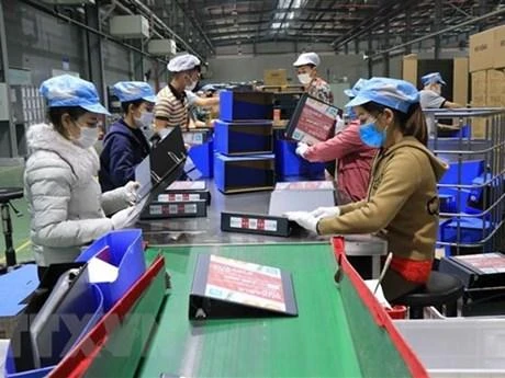 Công nhân lao động làm việc tại Công ty TNHH Deli Việt Nam, Khu công nghiệp Yên Phong, tỉnh Bắc Ninh. (Ảnh: Thanh Thương/TTXVN)