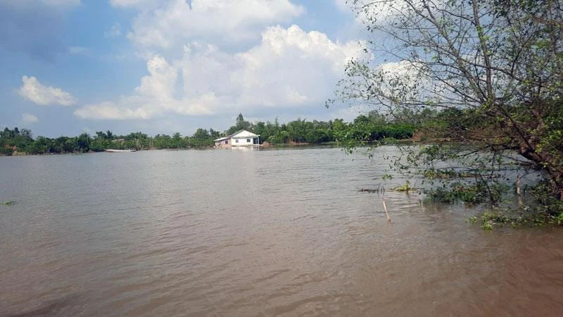 Khu vực sạt lở bờ sông Cổ Chiên làm 12 căn nhà rơi xuống sông được ban bố tình huống khẩn cấp mức độ nguy hiểm. 