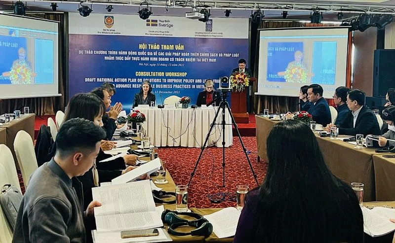 Toàn cảnh Hội thảo tham vấn Chương trình hành động quốc gia về thực hành kinh doanh có trách nhiệm.