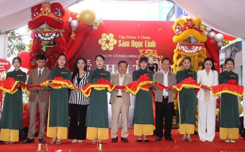 Cắt băng khánh thành cửa hàng bán sâm Ngọc Linh và dược liệu quý tại Nghệ An.