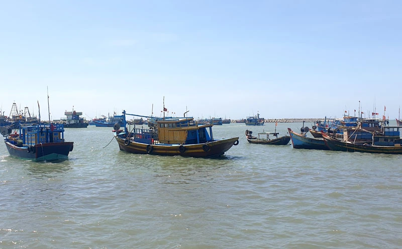 Tàu cá neo đậu tại Cảng cá La Gi. (Ảnh minh họa)