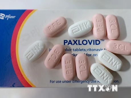 Phần lớn nguồn thu của Pfizer đến từ vaccine và thuốc điều trị Covid-19. (Ảnh: AFP/TTXVN)