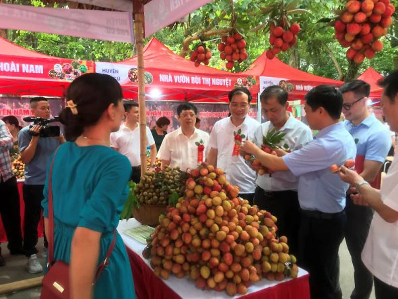 Nông nghiệp Hưng Yên hướng tới sản xuất hàng hóa theo chuỗi giá trị, hiệu quả và an toàn 