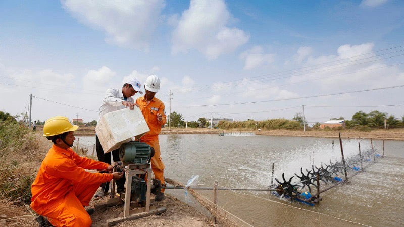 Nhân viên điện lực hướng dẫn người dân nuôi tôm sử dụng thiết bị điện đúng cách để tiết kiệm điện.