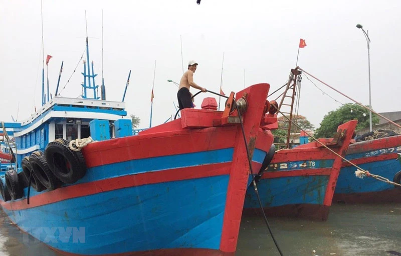 Ảnh minh họa. (Nguồn: TTXVN)