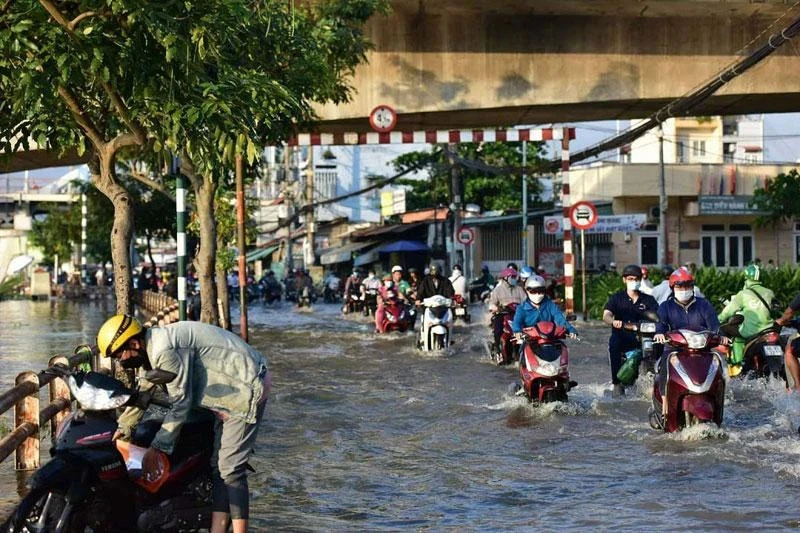 Ảnh minh họa.