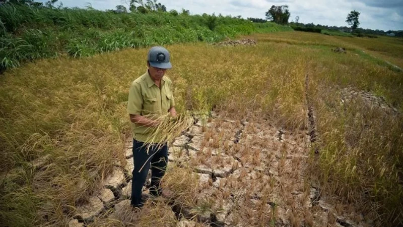 Ảnh minh họa.