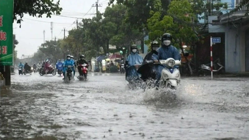 Ảnh minh họa.