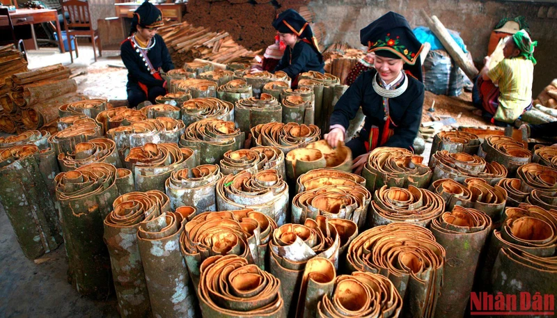Lễ hội Quế Văn Yên năm 2022