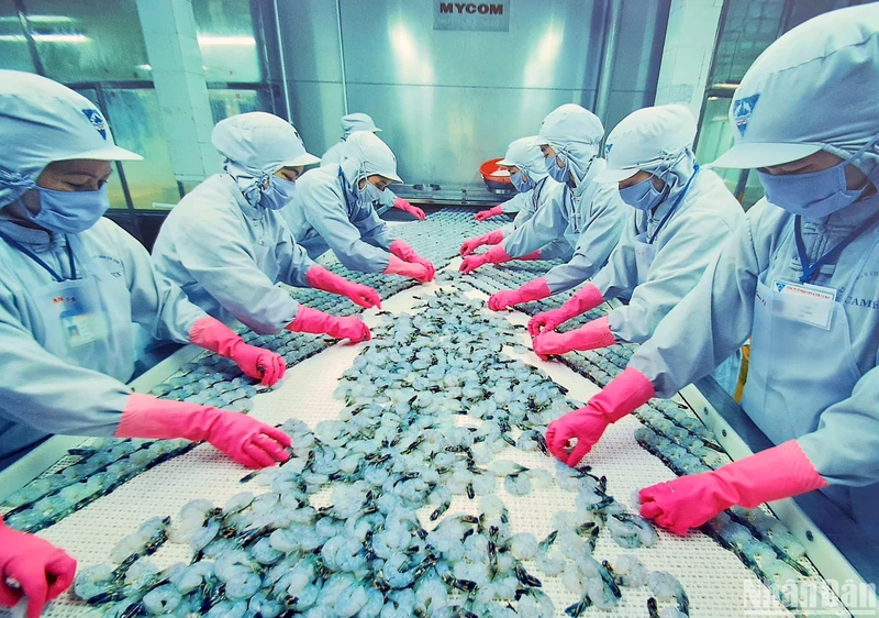 Xuất khẩu Cà Mau đạt 1,3 tỷ USD, trong đó có gần 1,1 tỷ USD xuất khẩu thủy sản. 