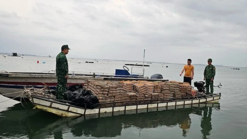 Ảnh minh họa: Phương tiện vận chuyển trái phép trứng gia cầm nhập lậu bị Bộ đội Biên phòng Quảng Ninh phát hiện bắt giữ, năm 2024. (Ảnh: QUANG THỌ)