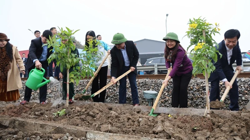 Phát động Tết trồng cây và triển khai phong trào “Đường tàu-Đường hoa” Xuân Ất Tỵ 2025 