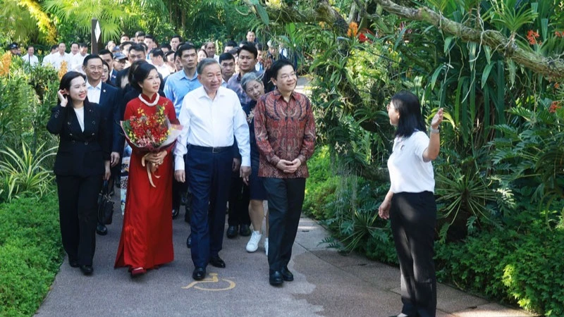 Tổng Bí thư Tô Lâm và Phu nhân cùng Thủ tướng Singapore Lawrence Wong tham quan Vườn Thực vật Singapore. (Ảnh: Thống Nhất/TTXVN) 