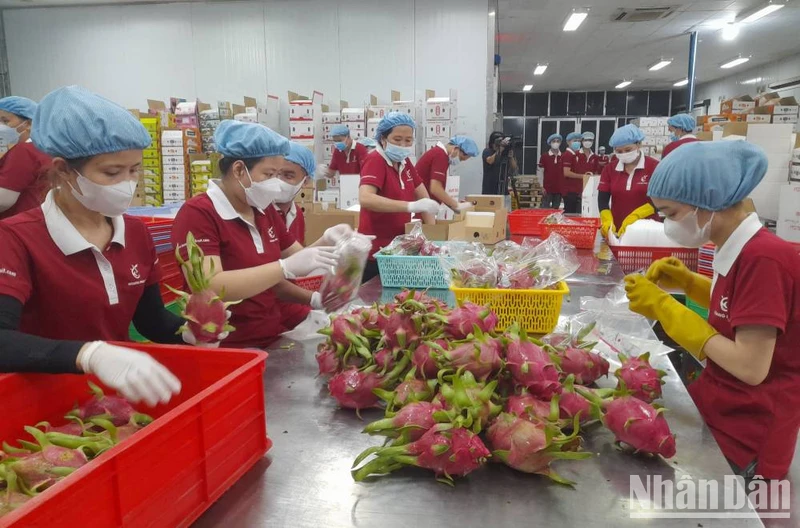 Ngành công thương Long An đang hướng người sản xuất và chế biến chuyển mạnh sang sản xuất xanh, bền vững để hội nhập và vươn ra biển lớn.