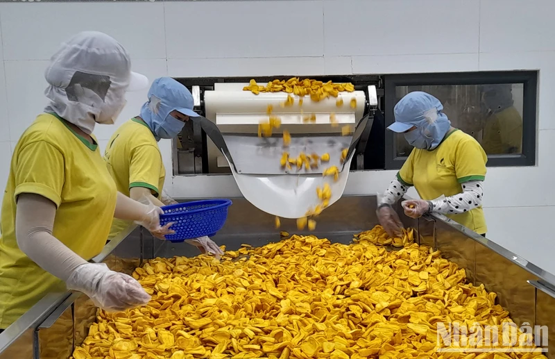 Kim ngạch xuất khẩu hàng hóa của Long An trong 6 tháng đầu năm 2024 tăng 16,5%.
