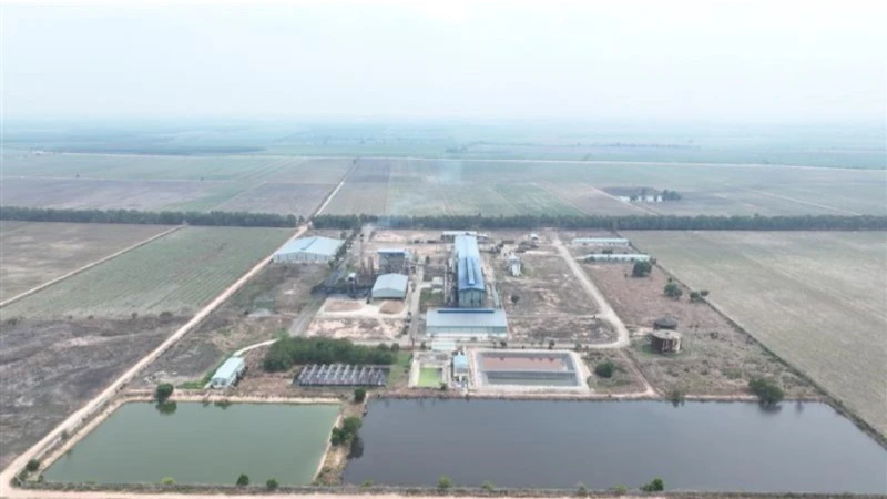 Toàn cảnh Nhà máy Ninh Điền - tâm điểm mới trong chiến lược hiện đại hóa ngành mía đường của TTC AgriS tại Tây Ninh, kỳ vọng đạt công suất 5.000 tấn/ngày vào năm 2030.