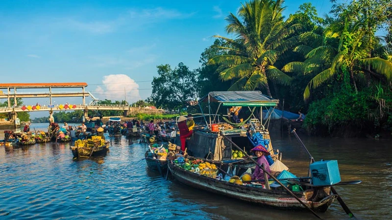 The Travel đánh giá Cần Thơ là một địa điểm tuyệt vời để khám phá vào mùa thu này. (Ảnh: Vietnamtravel)