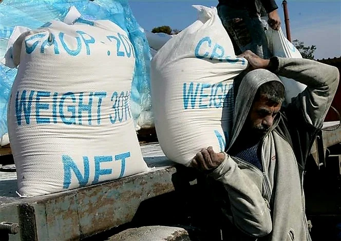 Người dân Palestine nhận lương thực viện trợ nhân đạo tại trại tị nạn ở Rafah, miền Nam Dải Gaza, giáp giới với Ai Cập. (Ảnh: AFP/TTXVN)