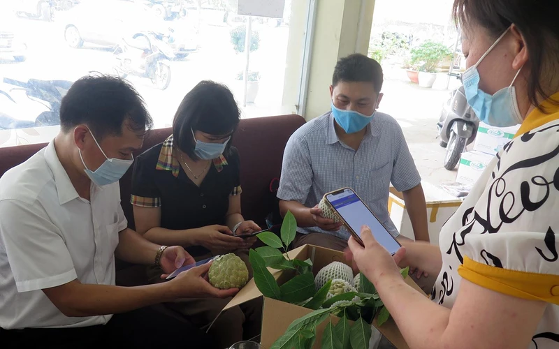 Các thành viên Hợp tác xã nông sản Chi Lăng, huyện Chi Lăng (Lạng Sơn) đưa sản phẩm na lên sàn thương mại điện tử. 