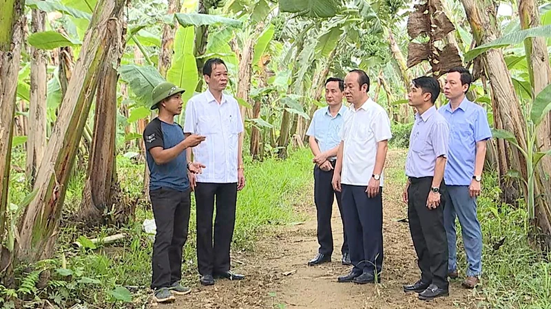 Cán bộ và người dân xã Vĩnh Chân, huyện Hạ Hòa trao đổi kinh nghiệm liên kết sản xuất, tiêu thụ chuối.