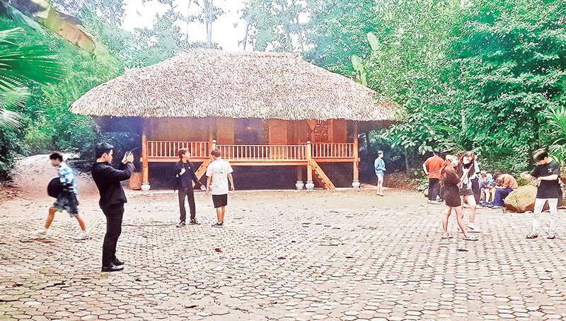 Mỗi năm, Làng du lịch sinh thái Thái Hải đón hàng chục nghìn du khách.