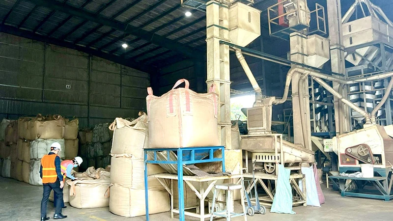 Kiểm tra sản phẩm tại kho hàng của Công ty 2/9 Đắk Lắk.
