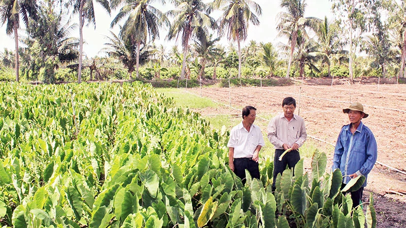 Cán bộ nông nghiệp hướng dẫn nông dân chuyển đổi mô hình sản xuất thích nghi biến đổi khí hậu.
