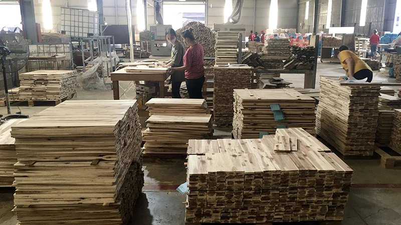 Sản xuất gỗ rừng trồng xuất khẩu tại Công ty TNHH Hoàng Minh (Bình Dương).