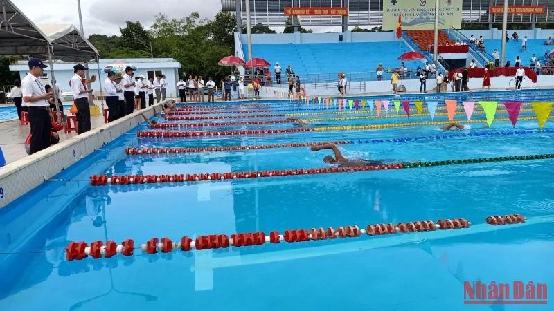 Các vận động viên cao tuổi nỗ lực bơi về đích.