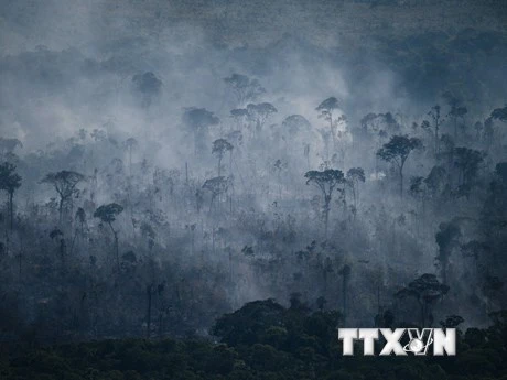 Khói bốc lên từ đám cháy rừng Amazon ở Apui, bang Amazonas, Brazil, ngày 27/7/2022. (Ảnh: AFP/TTXVN)