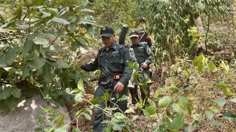 Lực lượng quản lý rừng vất vả di chuyển qua các bụi cây, dây leo để tuần tra, bảo vệ rừng tại khu vực núi Cấm, thị xã Tịnh Biên, tỉnh An Giang. (Ảnh: TTXVN) 