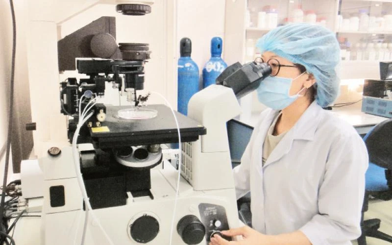 Nghiên cứu khoa học tại Trường đại học Quốc tế, Đại học Quốc gia Thành phố Hồ Chí Minh. 