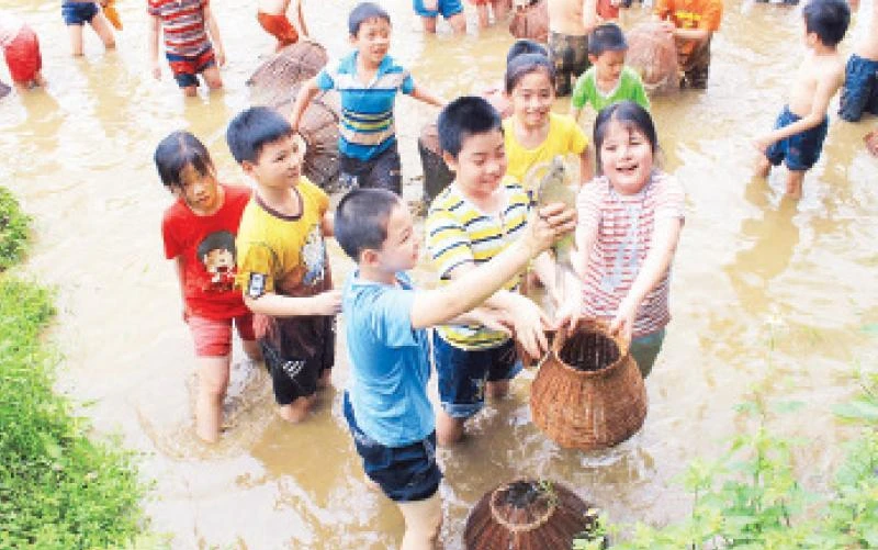 Khách du lịch trải nghiệm tại Trang trại Đồng Quê.